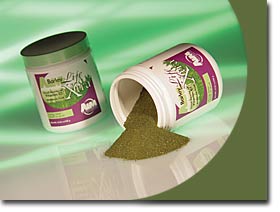 barleylife extra green juice